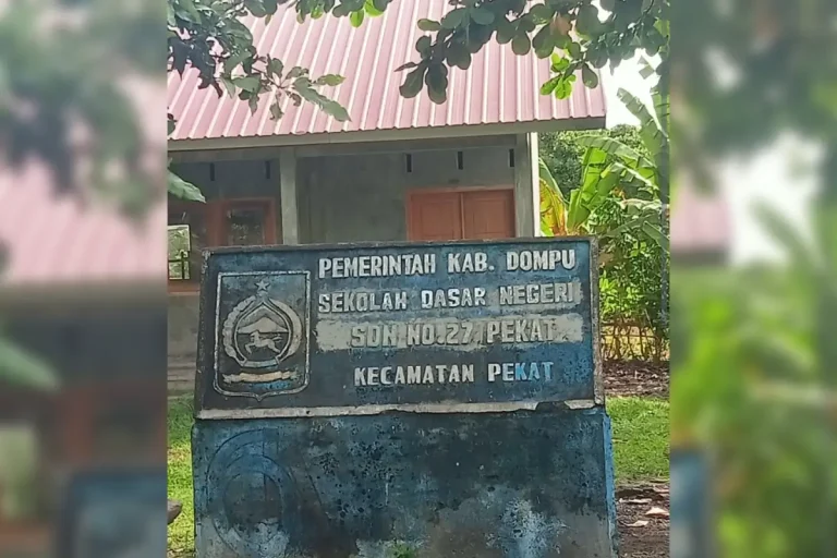 Guru P3K ‘Kebal Sanksi’ di SDN 27 Pekat: Absen Merah 60%, Hukum Dilanggar Terang-Terangan