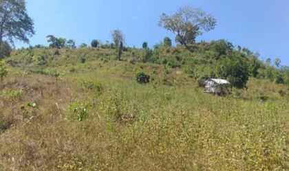 Hutan Dam Mila Dompu (Foto: KH)