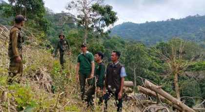 Pohon Kemiri,  menjadi perhatian (Foto: KP)