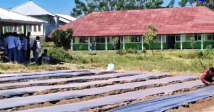 Budidaya Cabai SMKN 1 Pekat (Foto: SM)