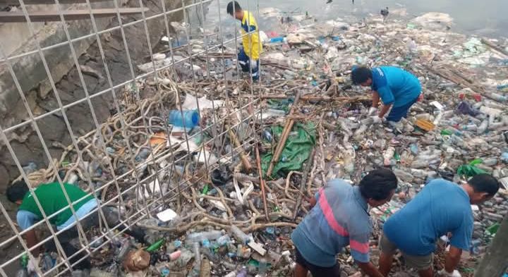 DLH Kota Bersihkan Pelabuhan (Foto: DL)