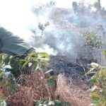 Kebakaran Hutan Pajo (Foto: KP)