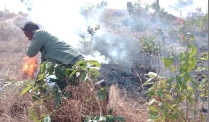Kebakaran Hutan Pajo (Foto: KP)