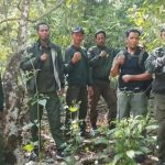 Tebang Liar di Donggo Nihil (Foto: KP)