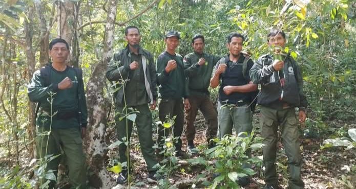 Tebang Liar di Donggo Nihil (Foto: KP)