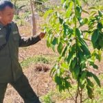 Patroli Hutan Banggo Ncuni Aman (Foto: PH)