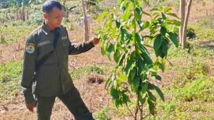 Patroli Hutan Banggo Ncuni Aman (Foto: PH)