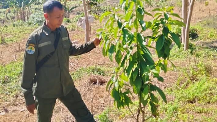 Patroli Hutan Banggo Ncuni Aman (Foto: PH)
