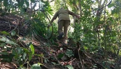 Patroli Hutan Belo Bima (Foto: LH)