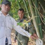 Patroli Kawasan HPT Riwo(Foto: HT)