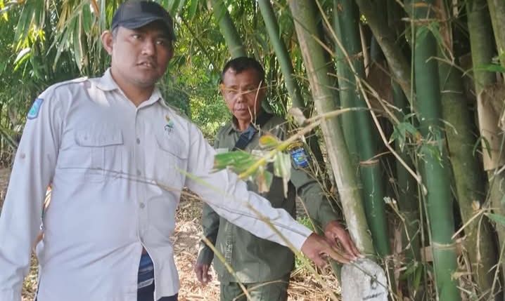 Patroli Kawasan HPT Riwo(Foto: HT)