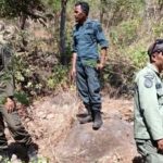 Patroli Hutan Hu'u Dompu (Foto: HU)