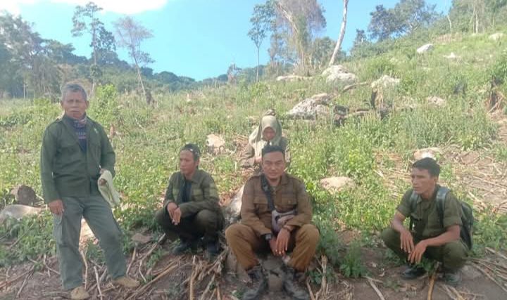 Patroli Hutan Kilo (Foto: TF)