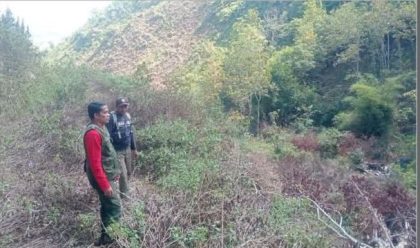 Patroli Hutan Madapangga (Foto: LH)
