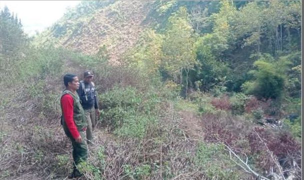 Patroli Hutan Madapangga (Foto: LH)