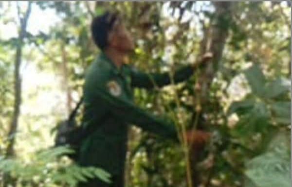 Patroli Hutan Monta (Foto: LH)