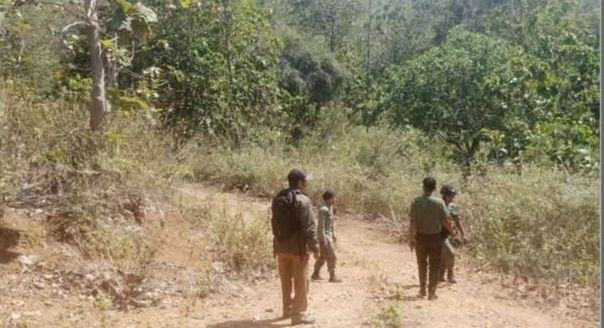 Patroli Hutan Pajo Dompu (Foto: SM)