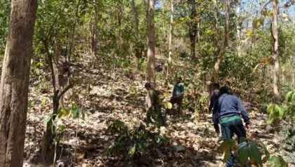 Patroli Hutan Woha Bima (Foto: LH)