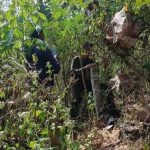 Hutan Riwo (Foto: PH)
