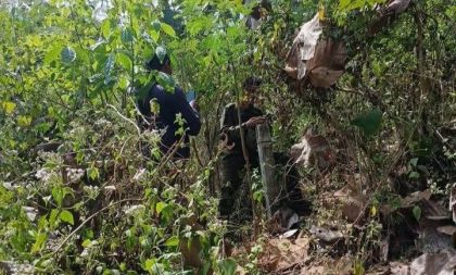 Hutan Riwo (Foto: PH)