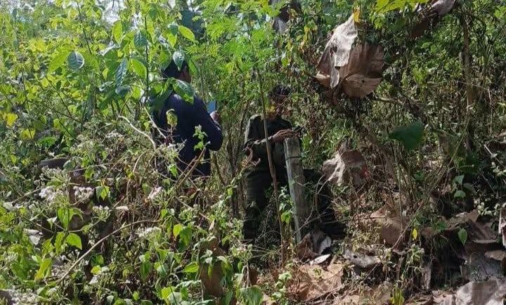Hutan Riwo (Foto: PH)