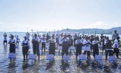 Rehabilitasi Mangrove (Foto: HJ)