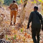 Perambahan Hutan Riwo (Foto: DP)