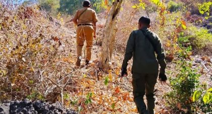 Perambahan Hutan Riwo (Foto: DP)