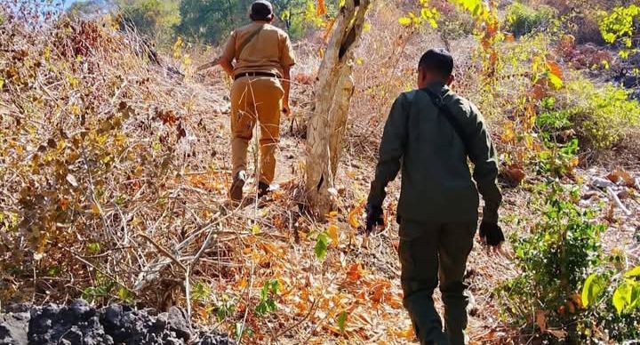 Perambahan Hutan Riwo (Foto: DP)