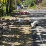 Penampakan Sampah Liar (Foto: JI)